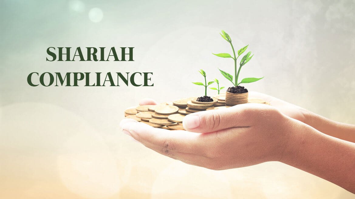 investment growth